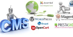 CMS Website Development