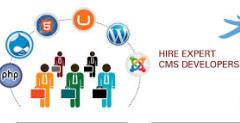 Hire Our Best CMS Experts