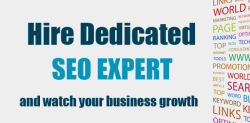 Hire a Dedicated SEO Expert in Pakistan