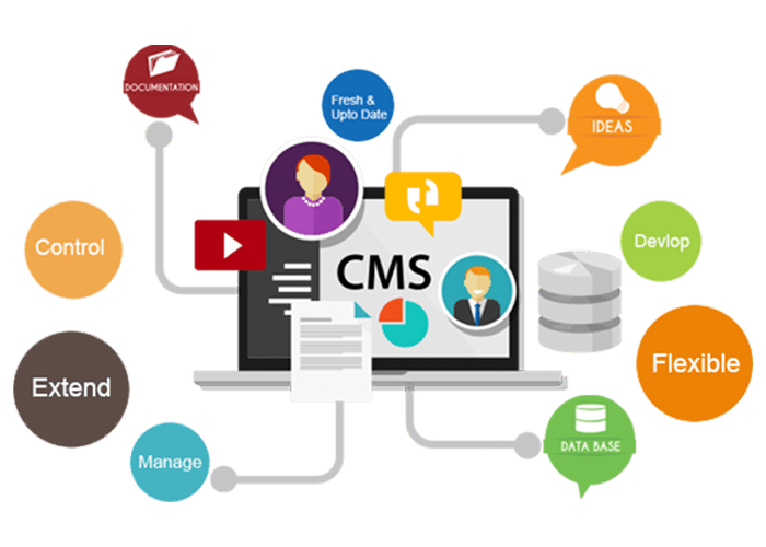CMS expert