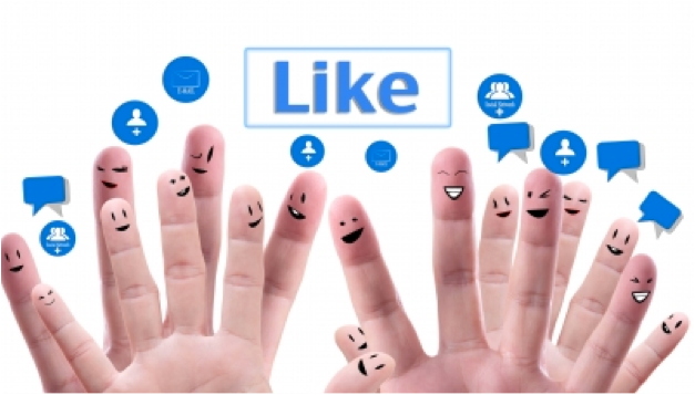 SMM and SEO for Business Optimization